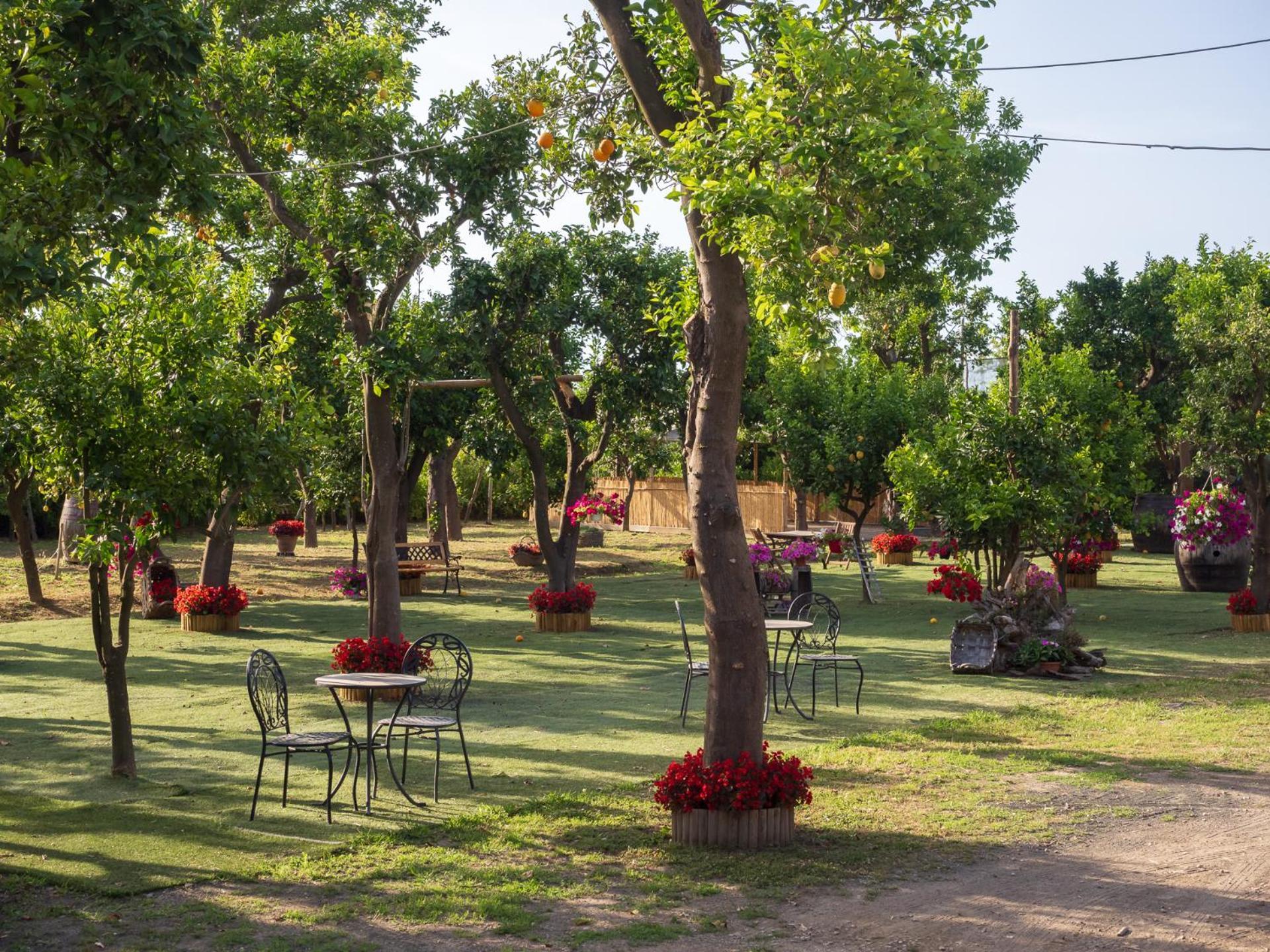 Giardino Di Nonno Lucio - Surrounded By Lemon Tree Villa Пиано ди Соренто Екстериор снимка