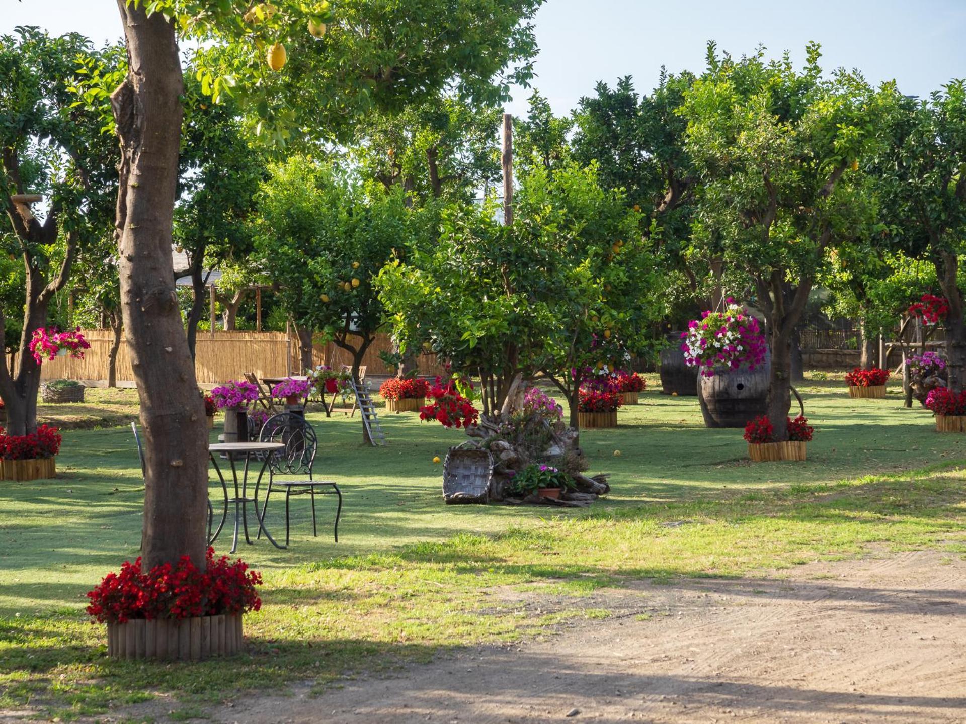 Giardino Di Nonno Lucio - Surrounded By Lemon Tree Villa Пиано ди Соренто Екстериор снимка