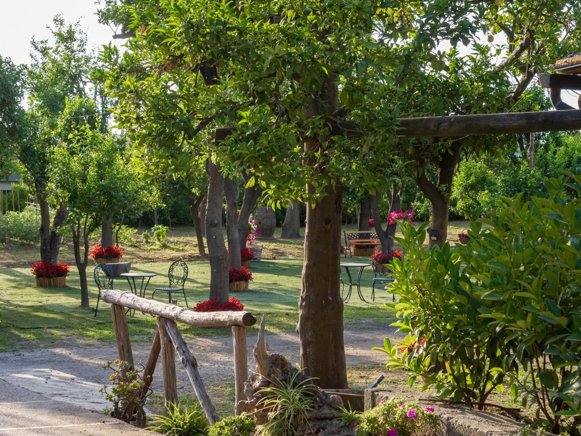 Giardino Di Nonno Lucio - Surrounded By Lemon Tree Villa Пиано ди Соренто Екстериор снимка