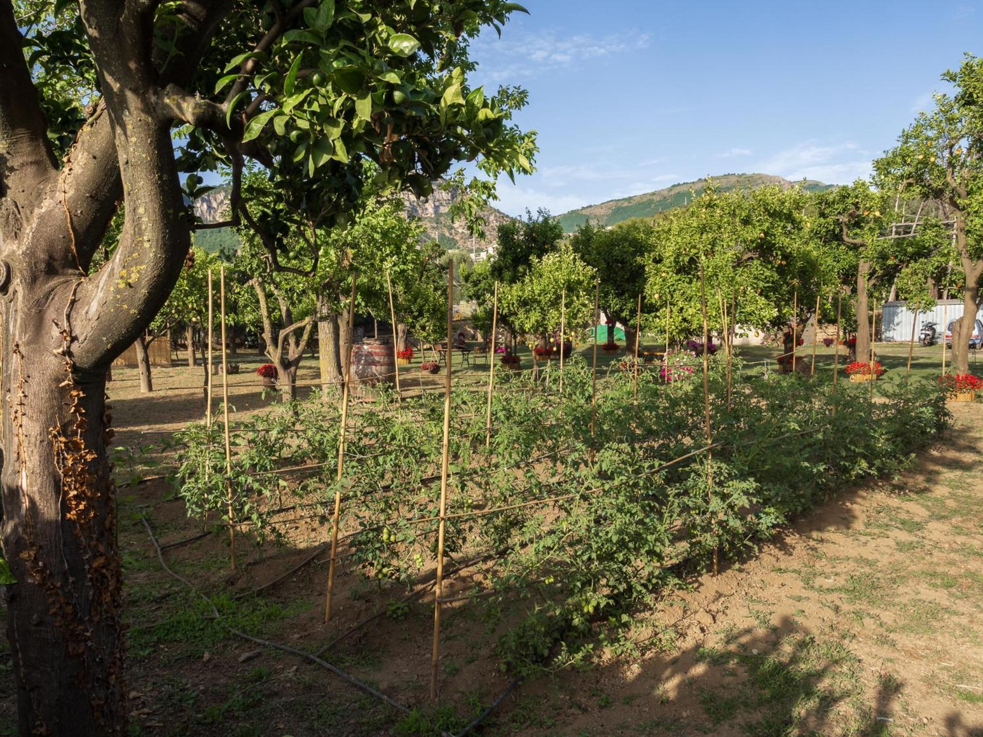 Giardino Di Nonno Lucio - Surrounded By Lemon Tree Villa Пиано ди Соренто Екстериор снимка