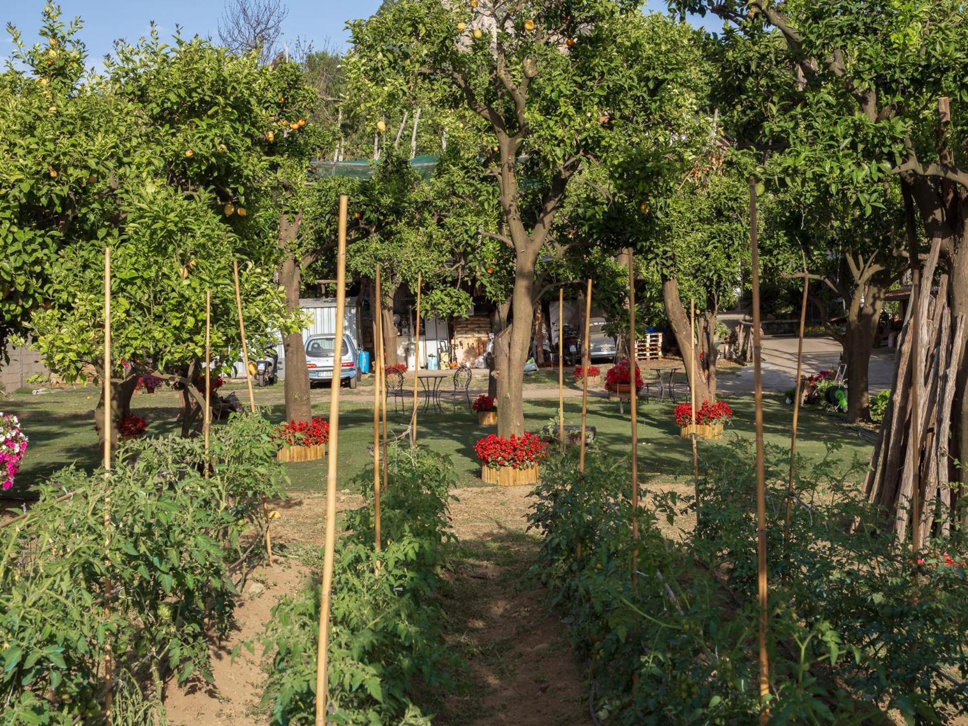 Giardino Di Nonno Lucio - Surrounded By Lemon Tree Villa Пиано ди Соренто Екстериор снимка