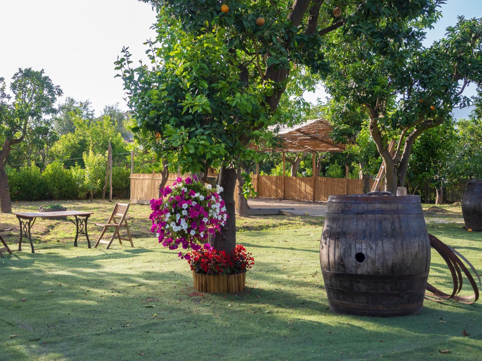 Giardino Di Nonno Lucio - Surrounded By Lemon Tree Villa Пиано ди Соренто Екстериор снимка