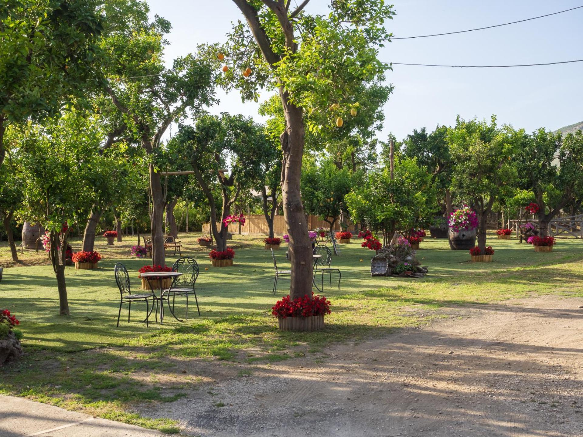Giardino Di Nonno Lucio - Surrounded By Lemon Tree Villa Пиано ди Соренто Екстериор снимка