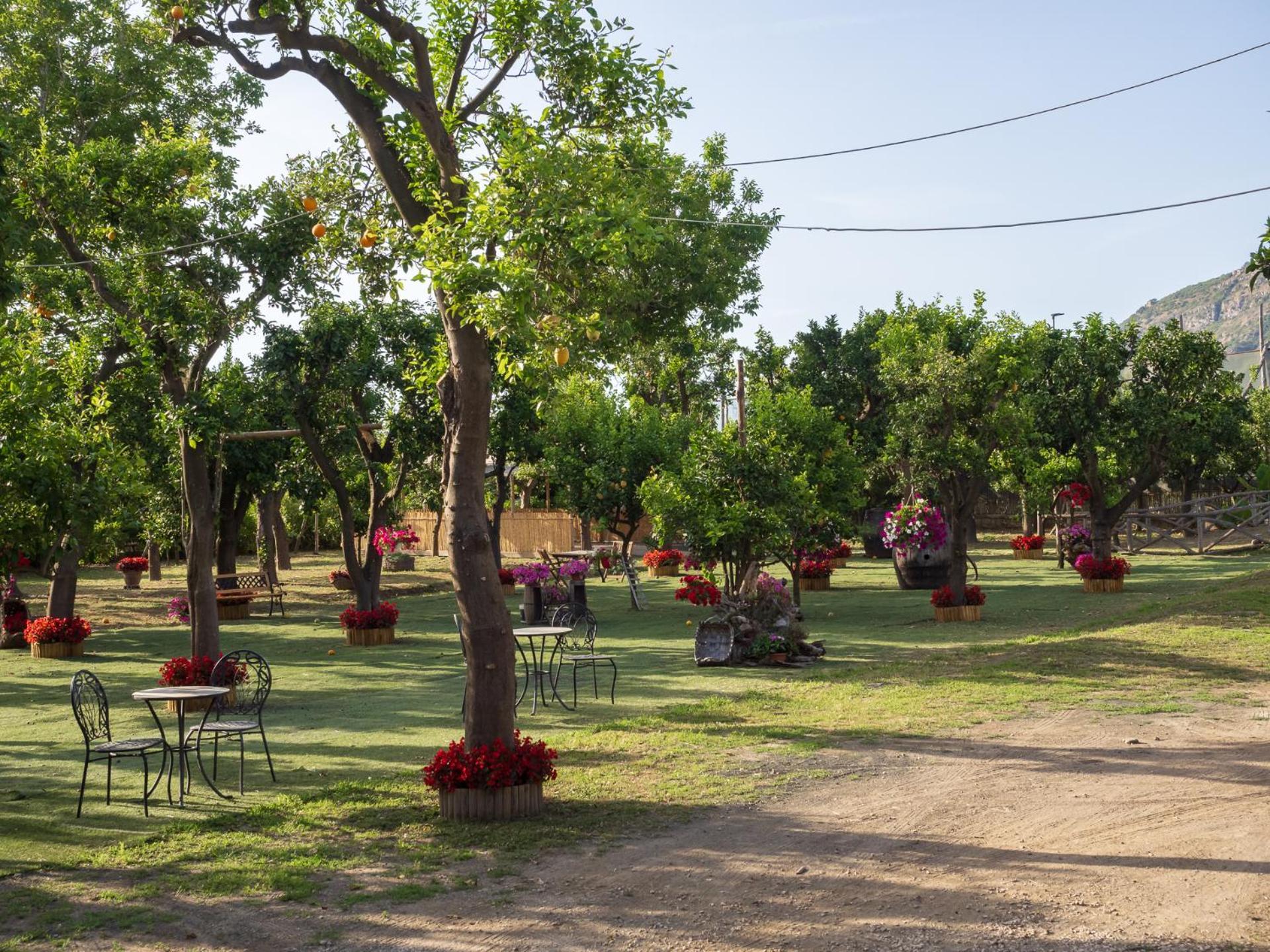 Giardino Di Nonno Lucio - Surrounded By Lemon Tree Villa Пиано ди Соренто Екстериор снимка