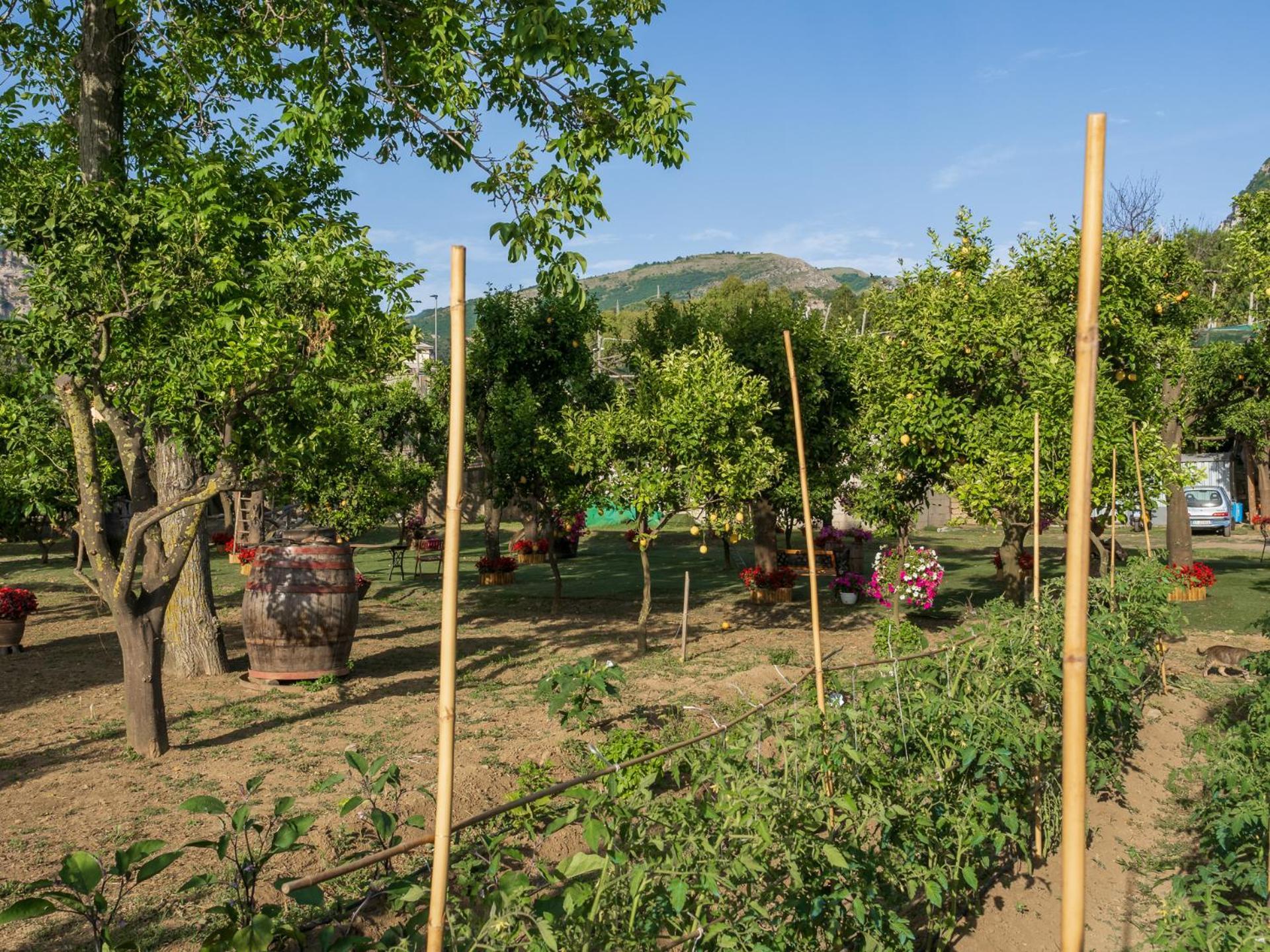 Giardino Di Nonno Lucio - Surrounded By Lemon Tree Villa Пиано ди Соренто Екстериор снимка