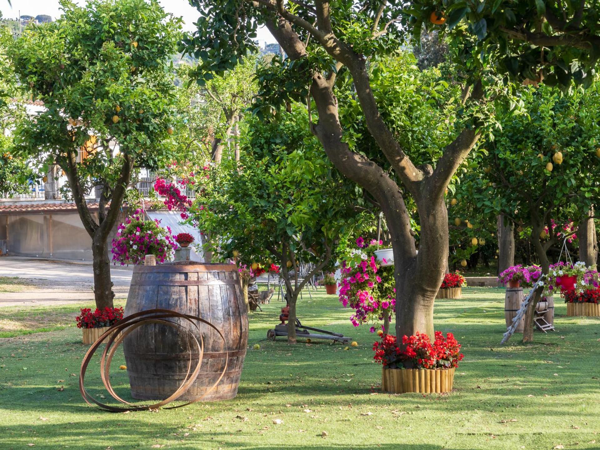 Giardino Di Nonno Lucio - Surrounded By Lemon Tree Villa Пиано ди Соренто Екстериор снимка