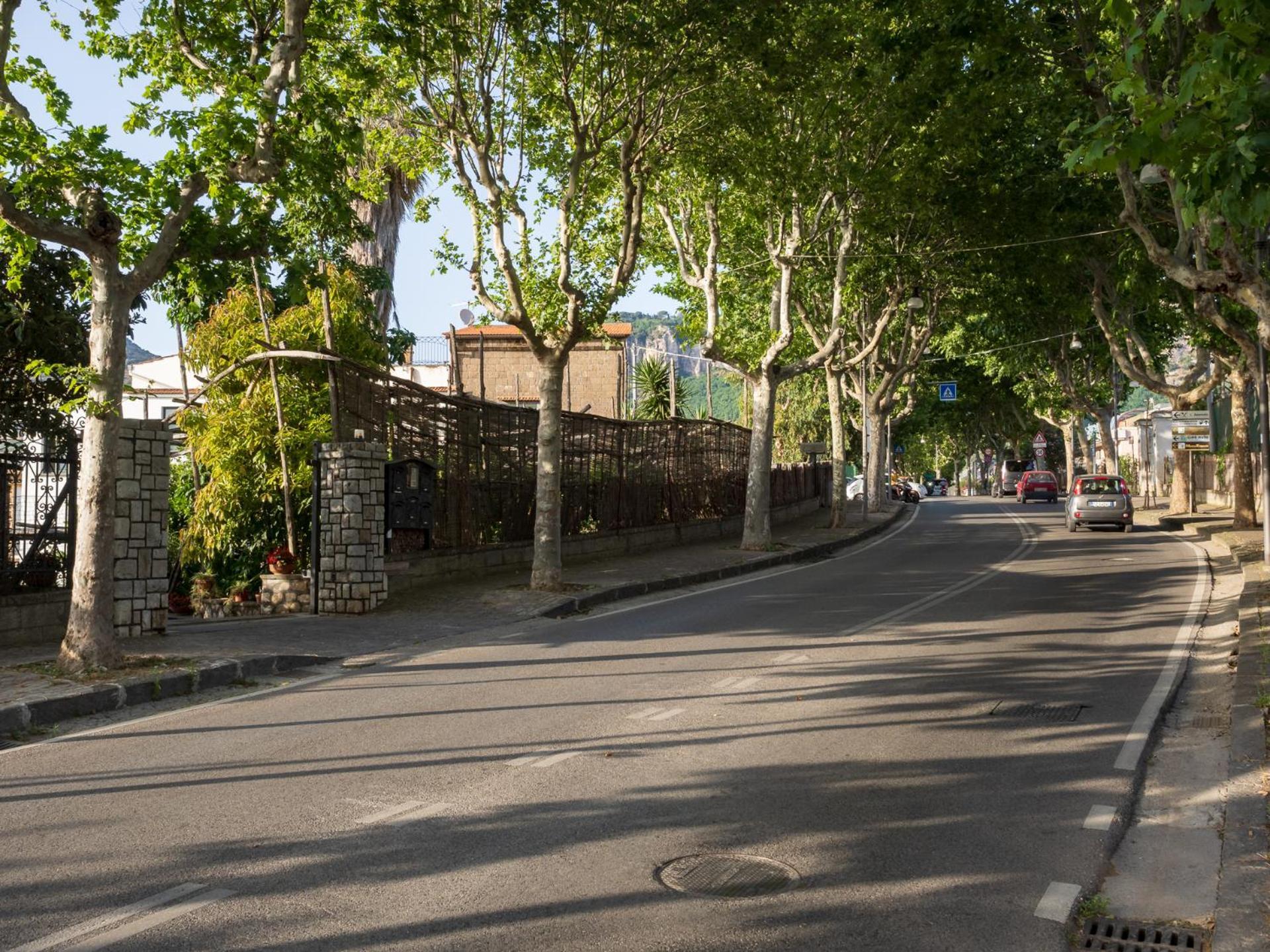 Giardino Di Nonno Lucio - Surrounded By Lemon Tree Villa Пиано ди Соренто Екстериор снимка