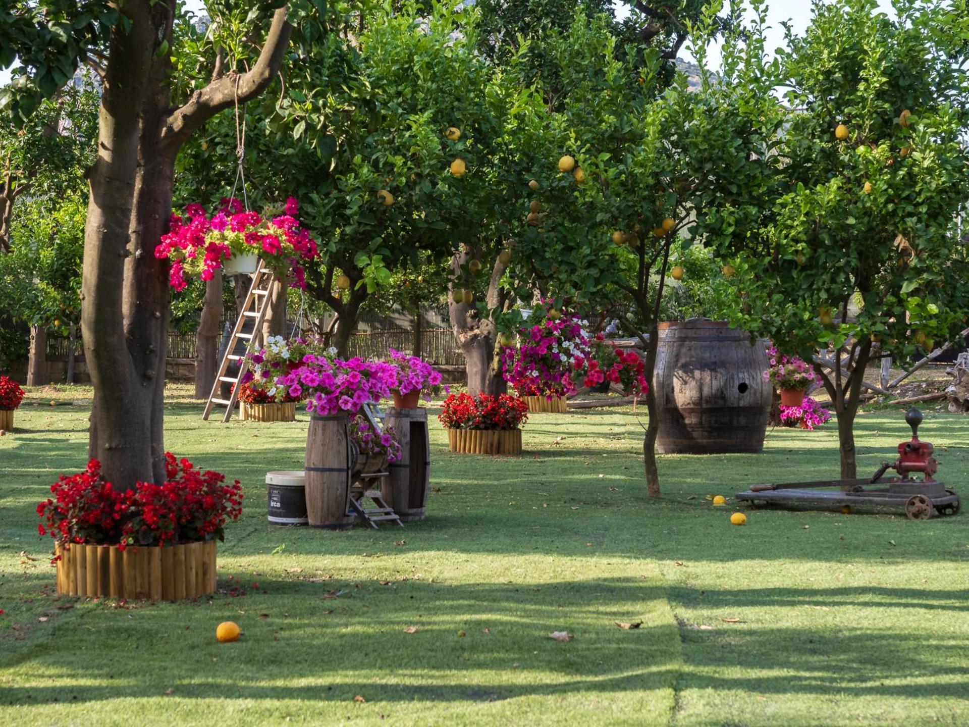 Giardino Di Nonno Lucio - Surrounded By Lemon Tree Villa Пиано ди Соренто Екстериор снимка