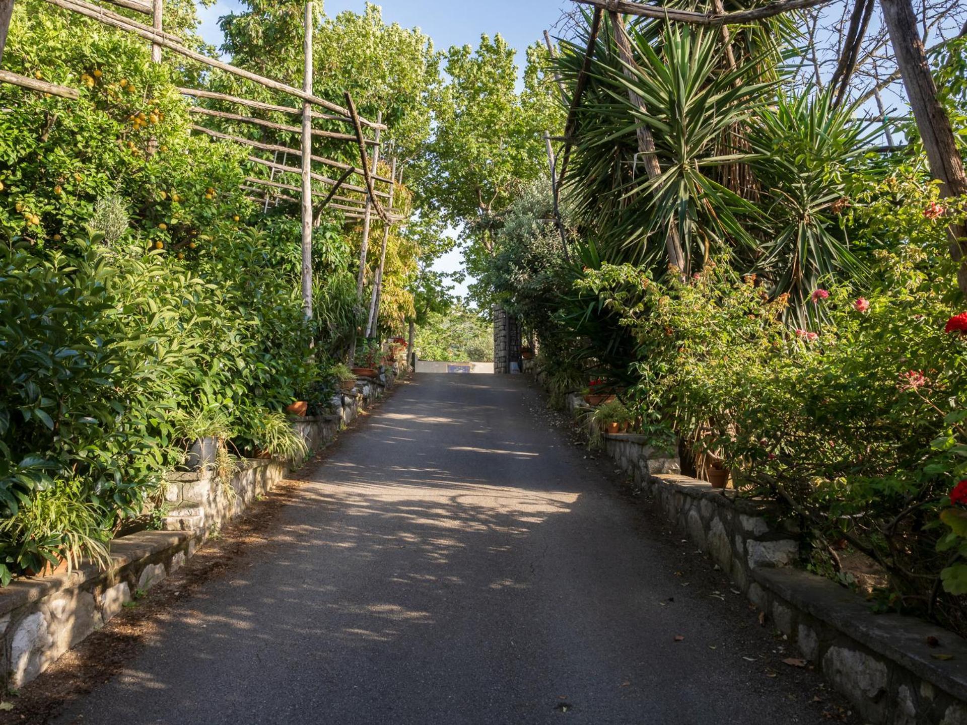 Giardino Di Nonno Lucio - Surrounded By Lemon Tree Villa Пиано ди Соренто Екстериор снимка