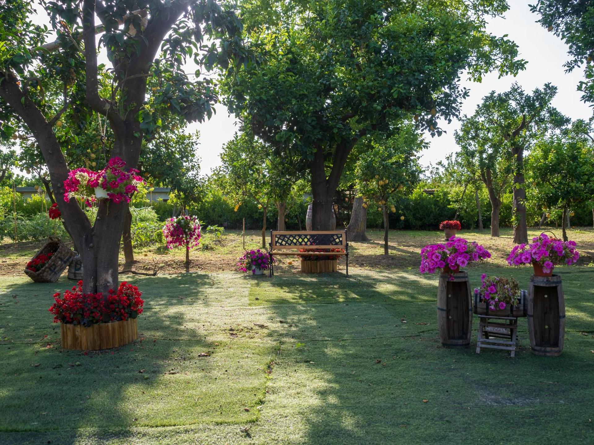 Giardino Di Nonno Lucio - Surrounded By Lemon Tree Villa Пиано ди Соренто Екстериор снимка